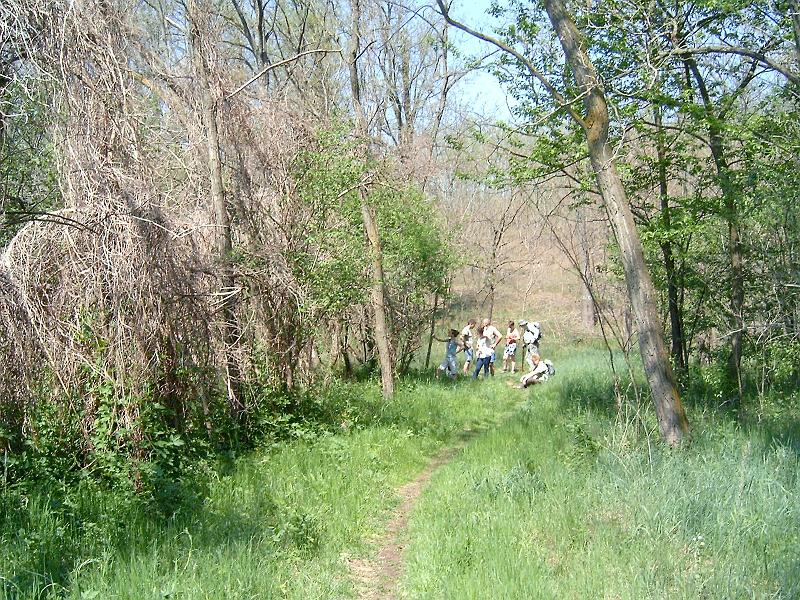 20120501 043.jpg